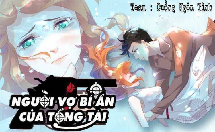 Người Vợ Bí Ẩn Của Tổng Tài Chương 22 Ảnh 2