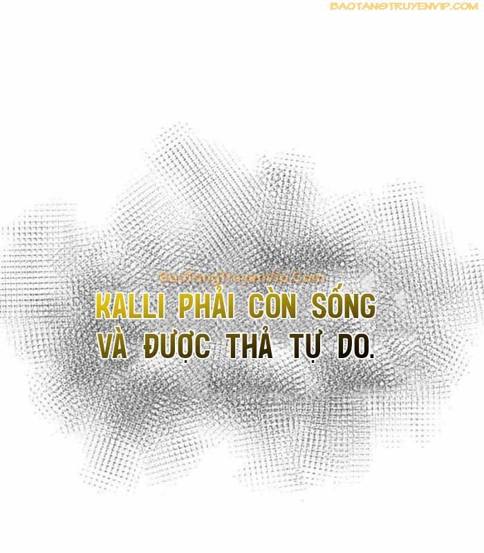 Nhà Vô Địch Kalli Chương 100 Ảnh 74