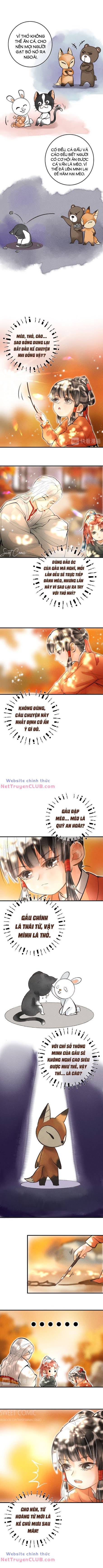 Phu Quân Ta Nuôi Từ Bé Muốn Thủ Tiêu Ta Chương 18 Ảnh 6