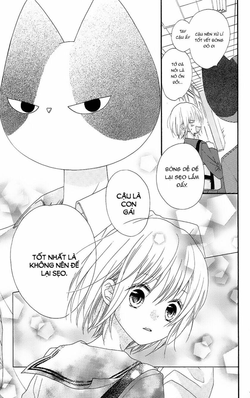 Nekota No Koto Ga Ki Ni Natte Shikatanai Chương 26 Ảnh 33