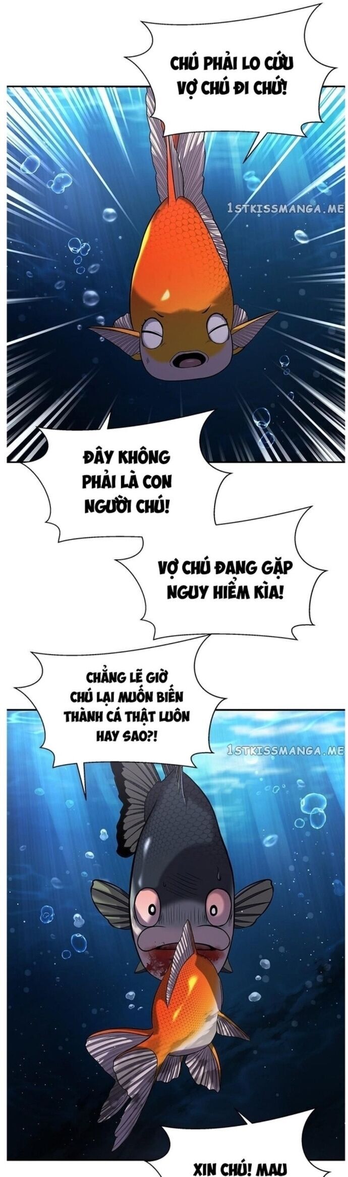 Hoá Thân Thành Cá Chương 37 Ảnh 32