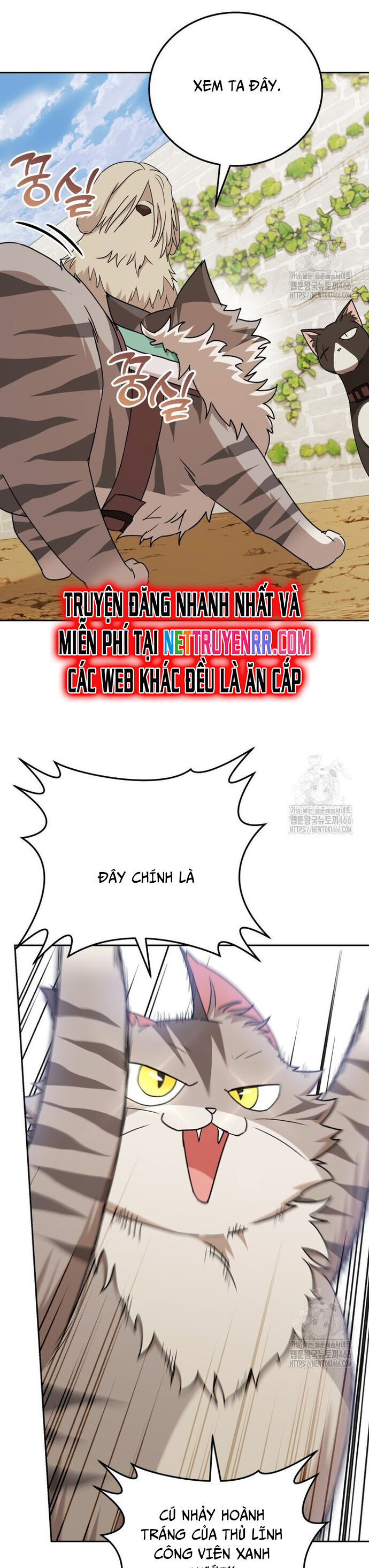 Xin Chào! Bác Sĩ Thú Y Chương 76 Ảnh 22