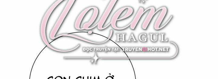 Công Chúa Của Loài Chim Chương 51.1 Ảnh 206