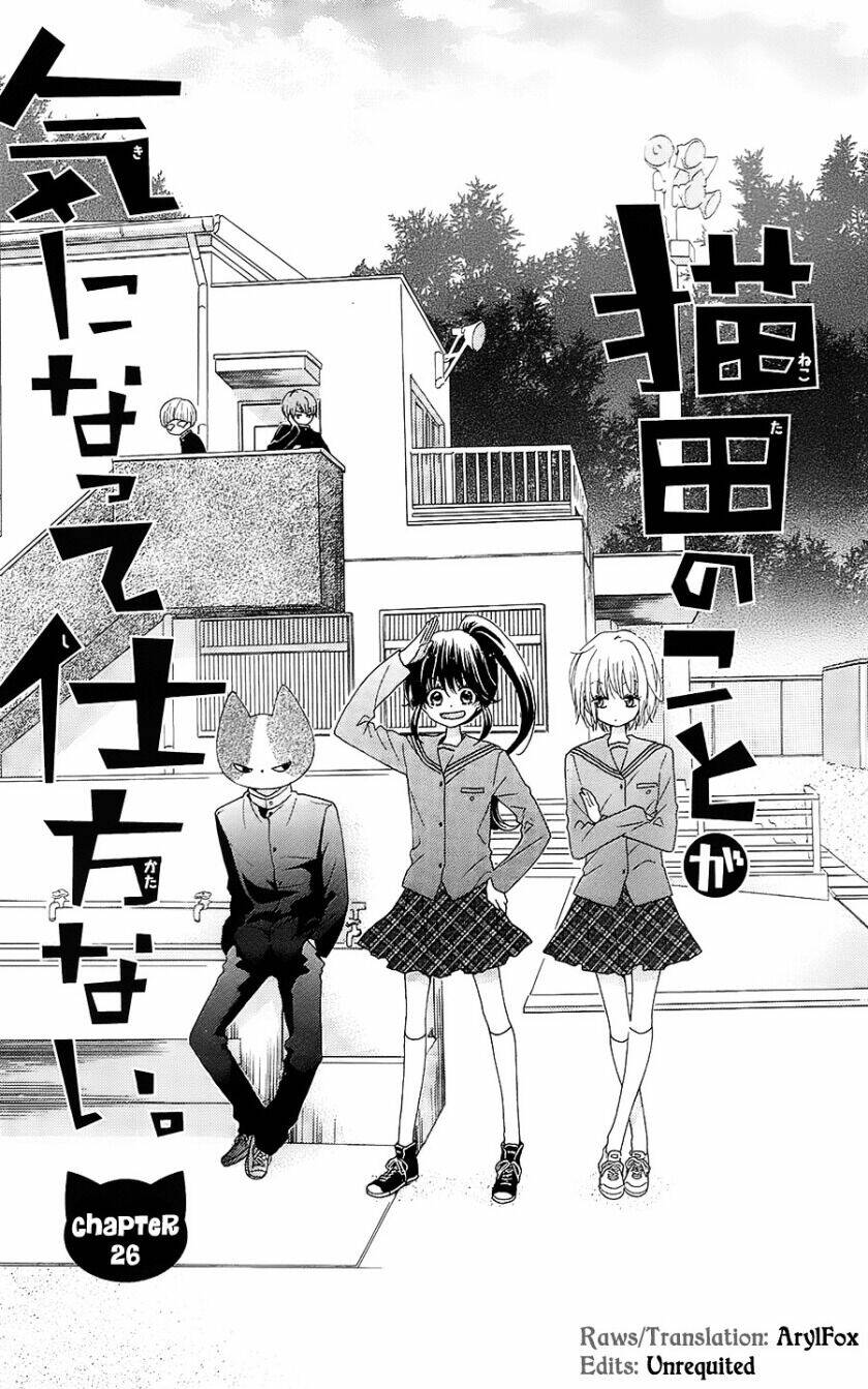 Nekota No Koto Ga Ki Ni Natte Shikatanai Chương 26 Ảnh 5