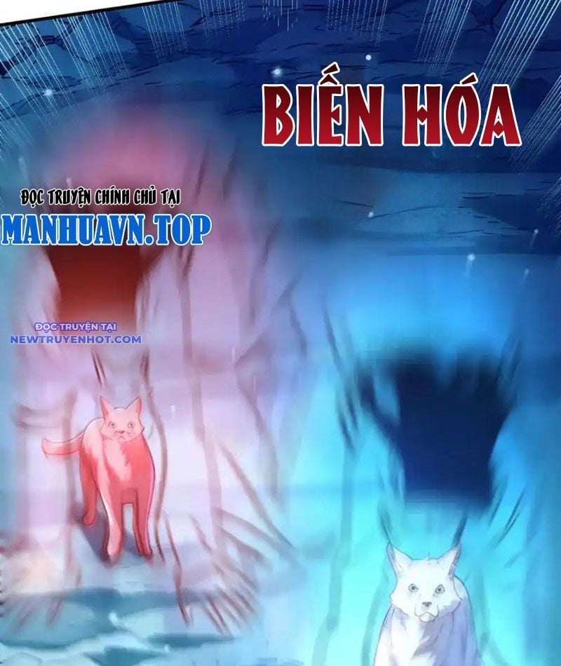 Bói Toán Mà Thôi, Cửu Vĩ Yêu Đế Sao Lại Thành Nương Tử Ta?! Chương 65 Ảnh 28