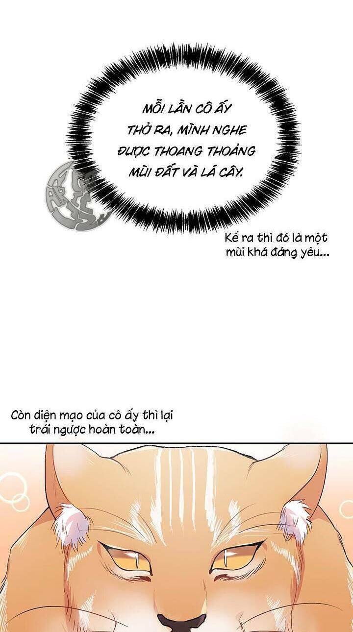 Tôi Chỉ Là Một Tiểu Thư Bình Thường Chương 81 Ảnh 9