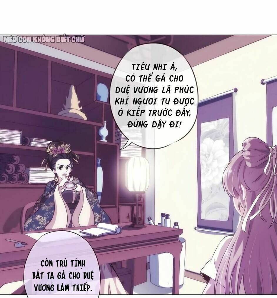 Ồ, Sủng Phi Đại Nhân Của Ta Chương 1 Ảnh 32
