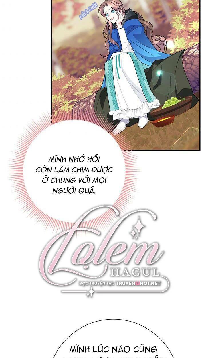 Công Chúa Của Loài Chim Chương 48 Ảnh 42