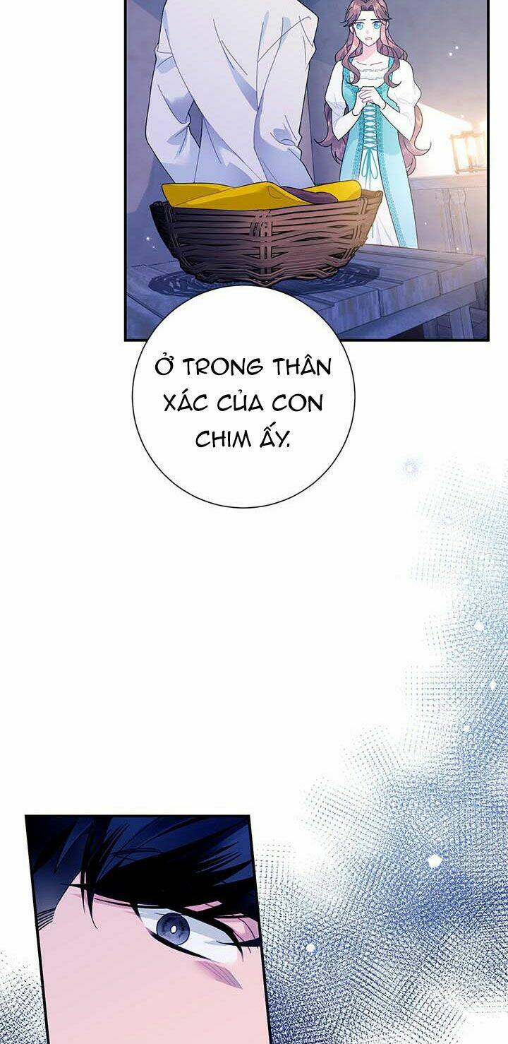 Công Chúa Của Loài Chim Chương 52.1 Ảnh 20