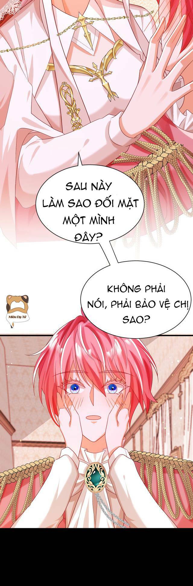 Hướng Dẫn Vuốt Lông Nam Chủ Hắc Hoá Chương 26 Ảnh 21