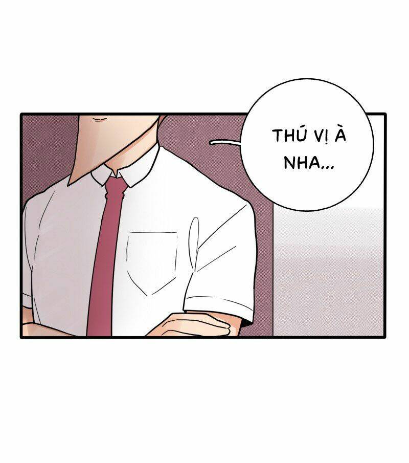 Not So Shoujo Love Story Chương 15 Ảnh 43