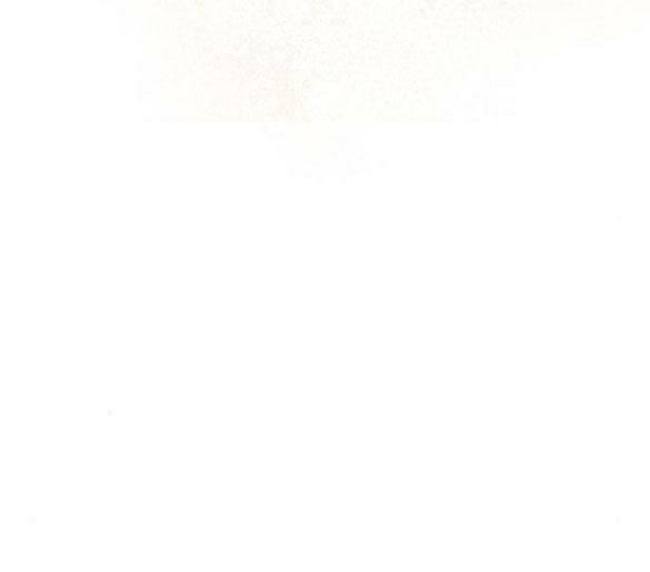 Mong Chờ Giây Phút Thiêng Liêng Được Chạm Tới Người Chương 49.2 Ảnh 66