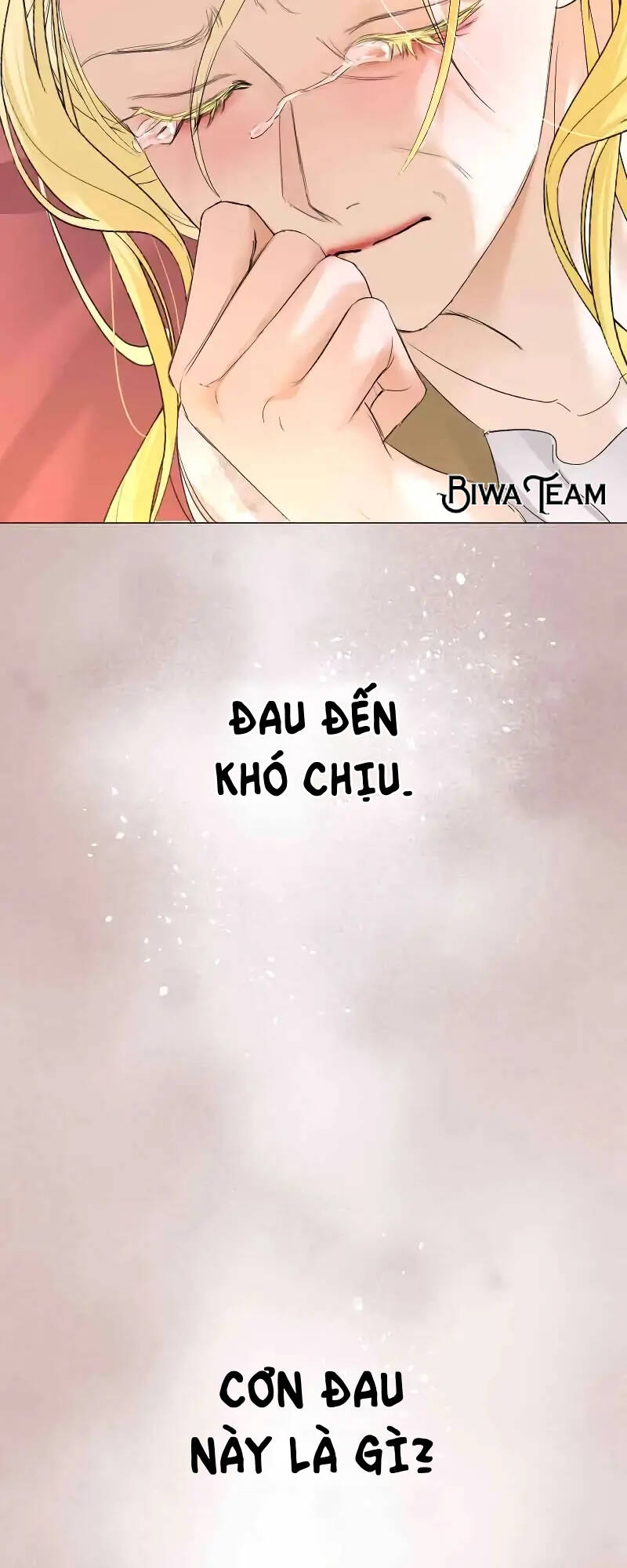 Tôi Đã Phá Vỡ Cuộc Hôn Nhân Chính Trị Chương 3 Ảnh 48