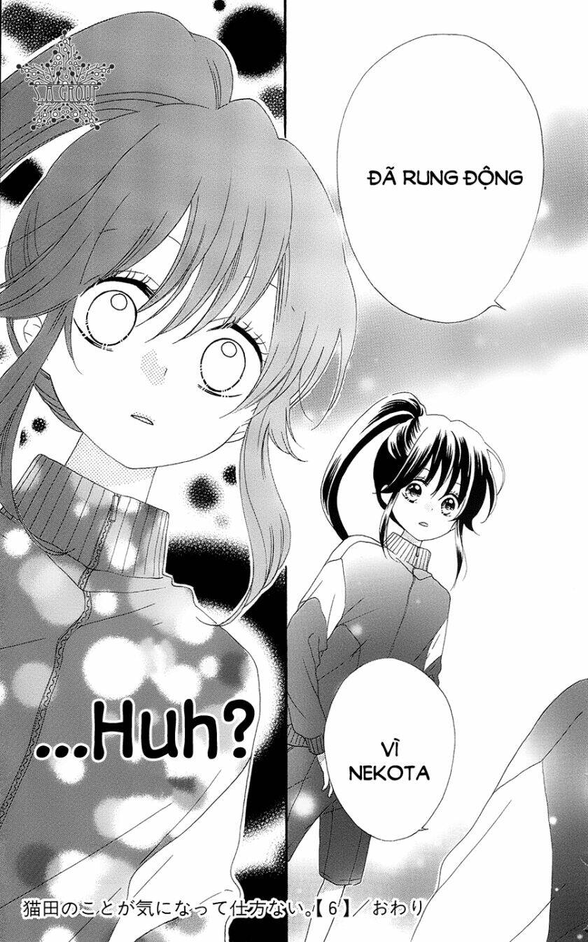 Nekota No Koto Ga Ki Ni Natte Shikatanai Chương 28 Ảnh 38