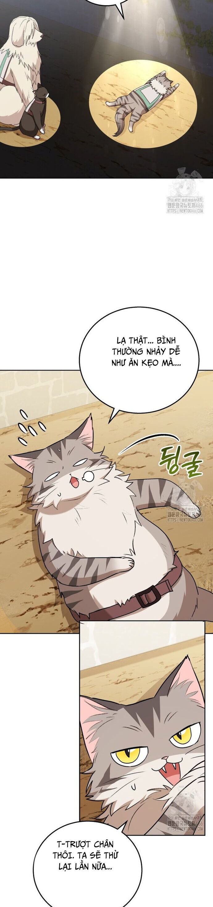 Xin Chào! Bác Sĩ Thú Y Chương 76 Ảnh 24
