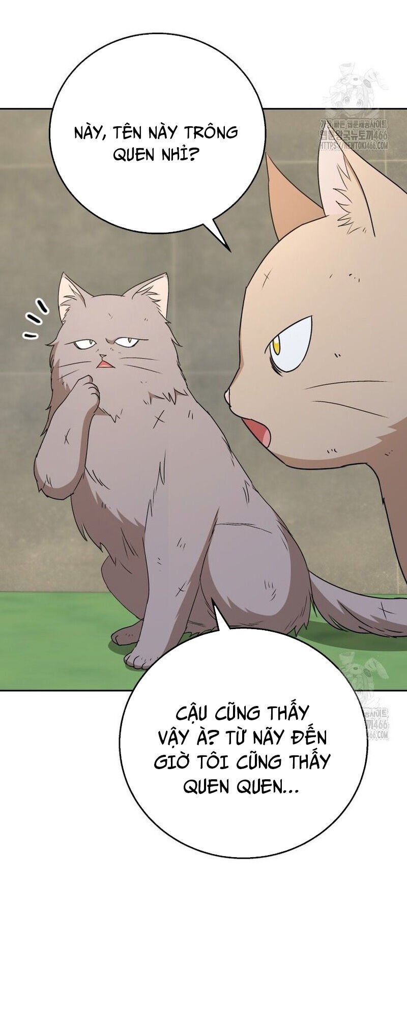 Xin Chào! Bác Sĩ Thú Y Chương 77 Ảnh 4