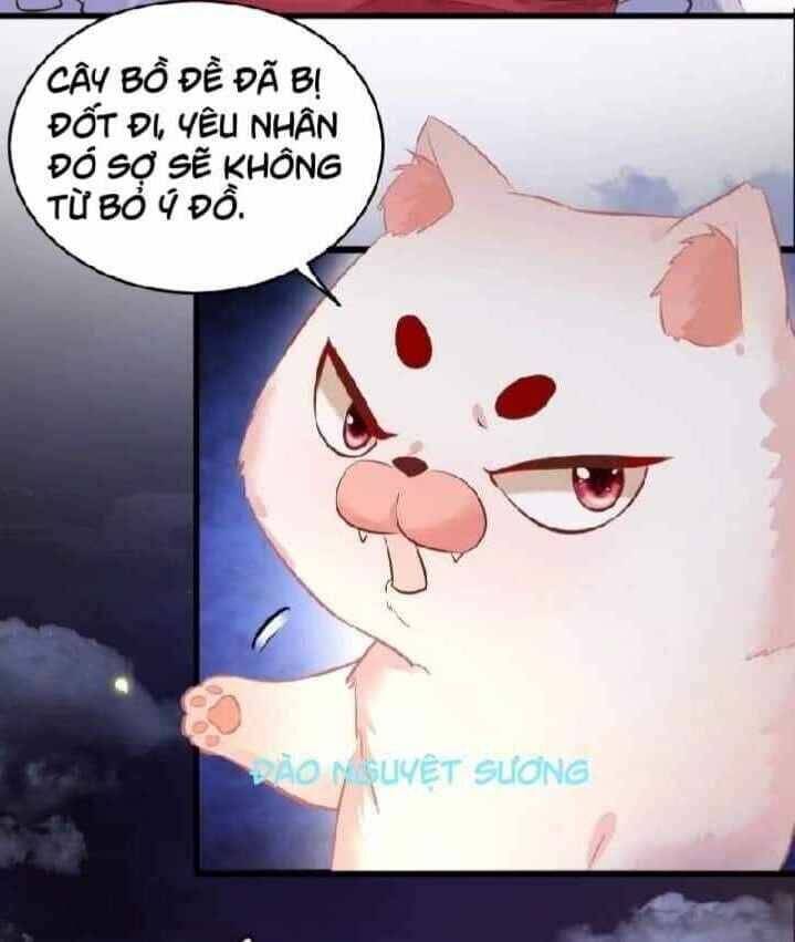 Con Đường Hoang Dã Của Vương Phi Chương 22 Ảnh 22