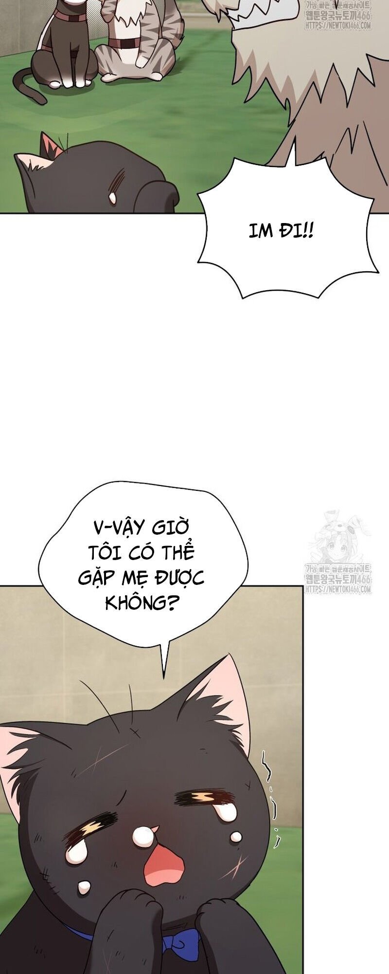 Xin Chào! Bác Sĩ Thú Y Chương 77 Ảnh 62