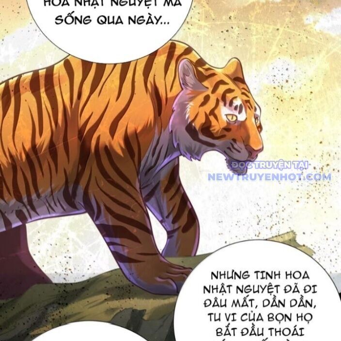 Bói Toán Mà Thôi, Cửu Vĩ Yêu Đế Sao Lại Thành Nương Tử Ta?! Chương 72 Ảnh 41