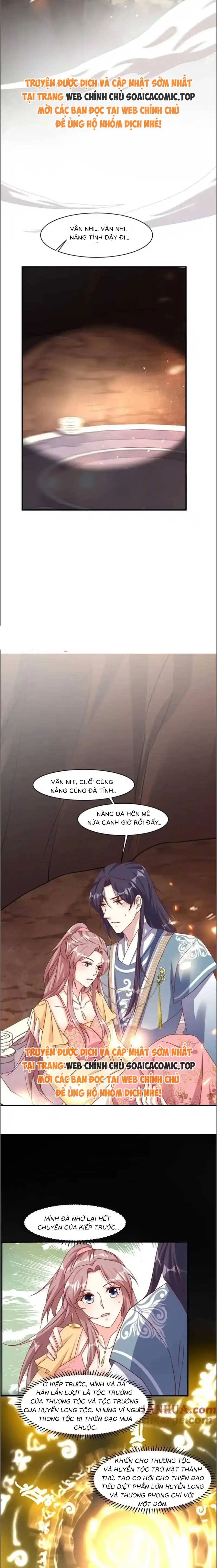 Vương Gia Khắc Thê Chương 253 Ảnh 5