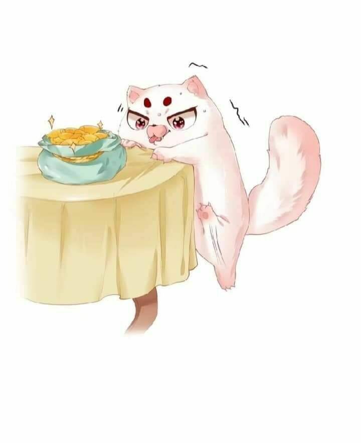 Con Đường Hoang Dã Của Vương Phi Chương 29 Ảnh 35