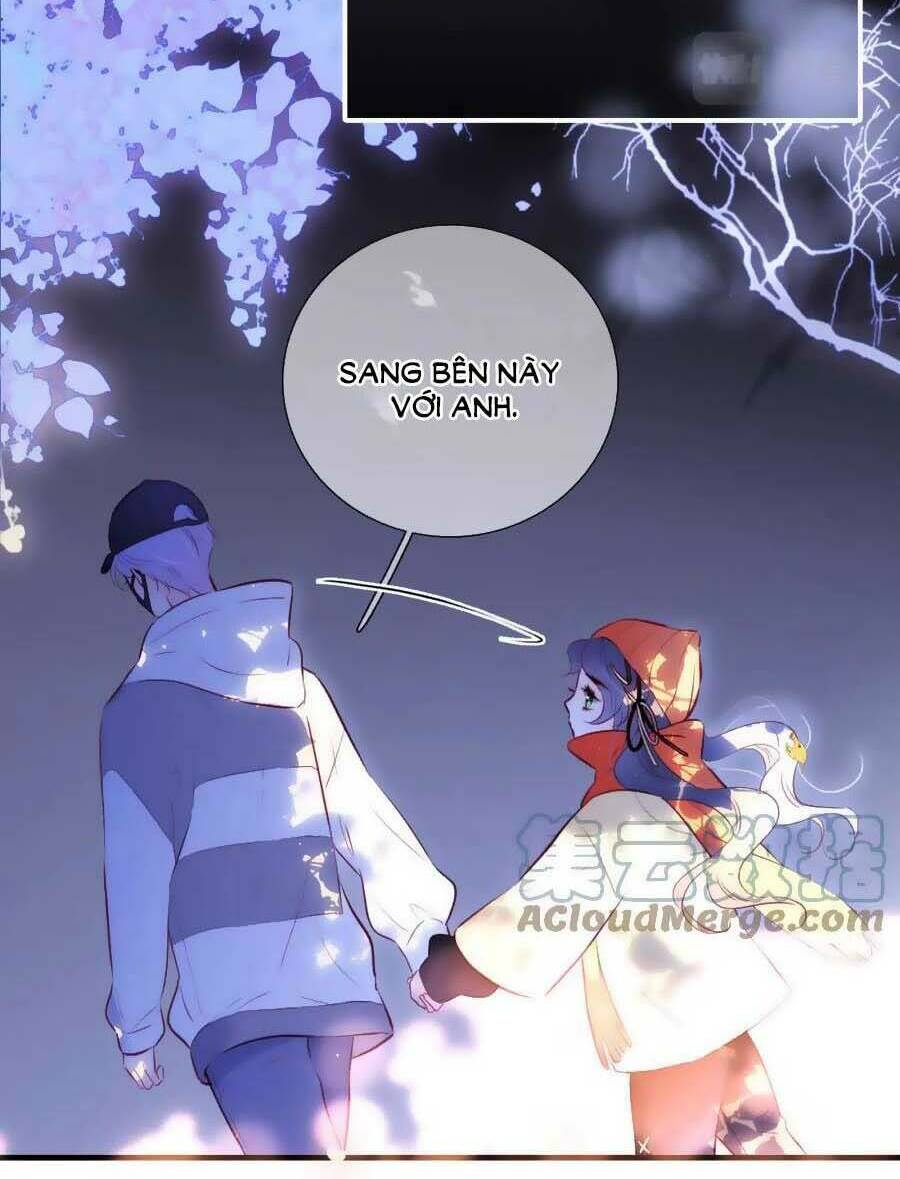 Hoa Bỏ Chạy Với Nhím Rồi Chương 90 Ảnh 30