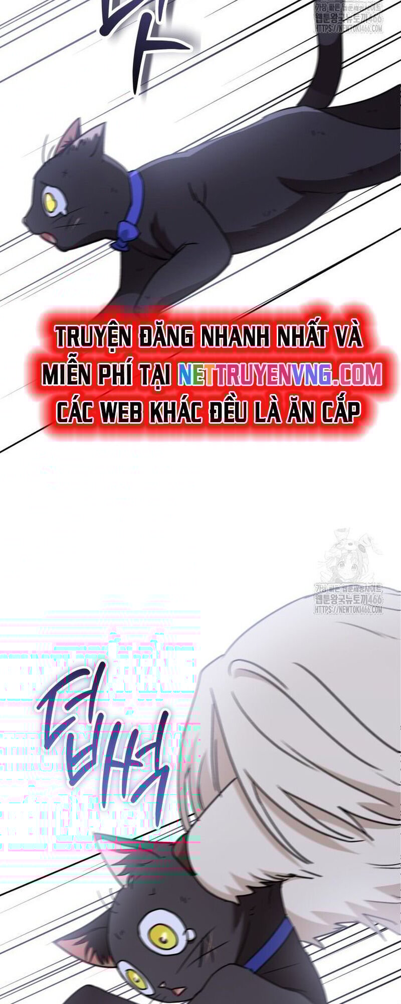 Xin Chào! Bác Sĩ Thú Y Chương 77 Ảnh 51