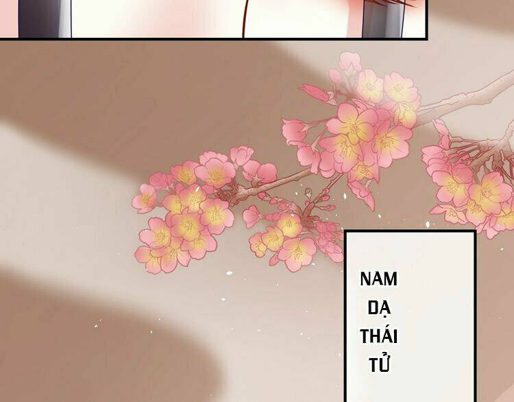 Báo Cáo Vương Gia, Vương Phi Là Một Con Mèo Chương 4 Ảnh 117