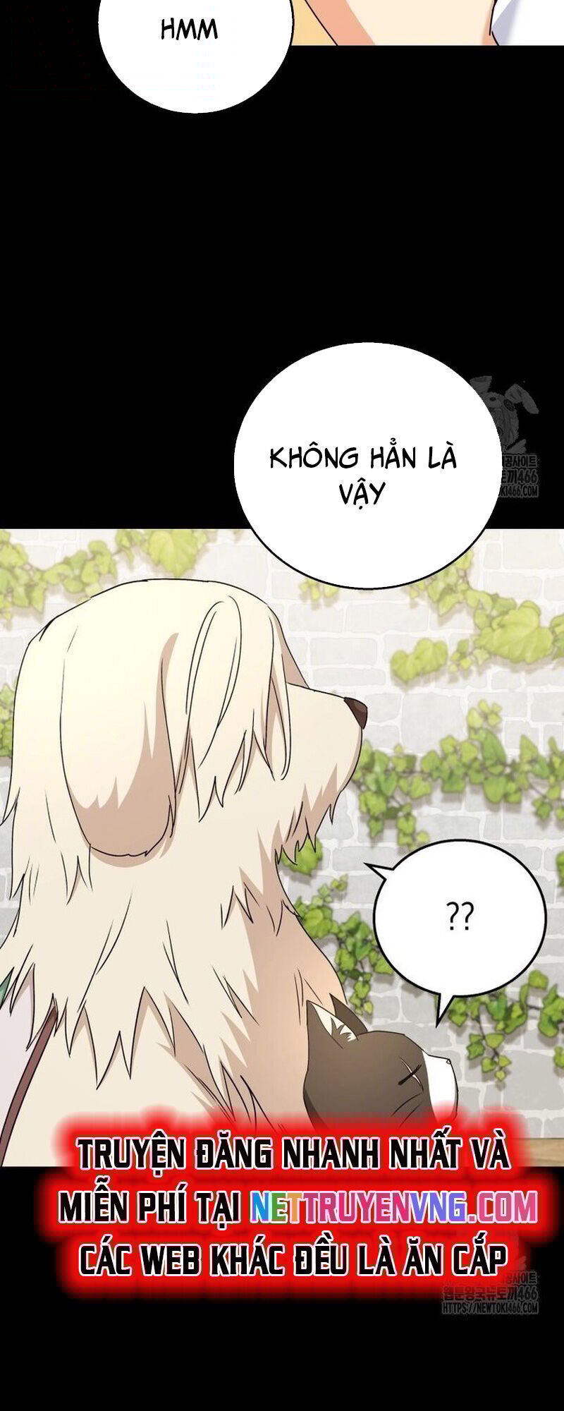 Xin Chào! Bác Sĩ Thú Y Chương 77 Ảnh 31