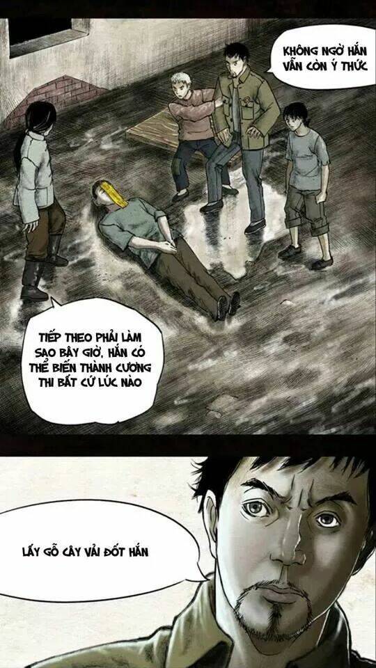 TrấN TháI BìNh Chương 13 Ảnh 6