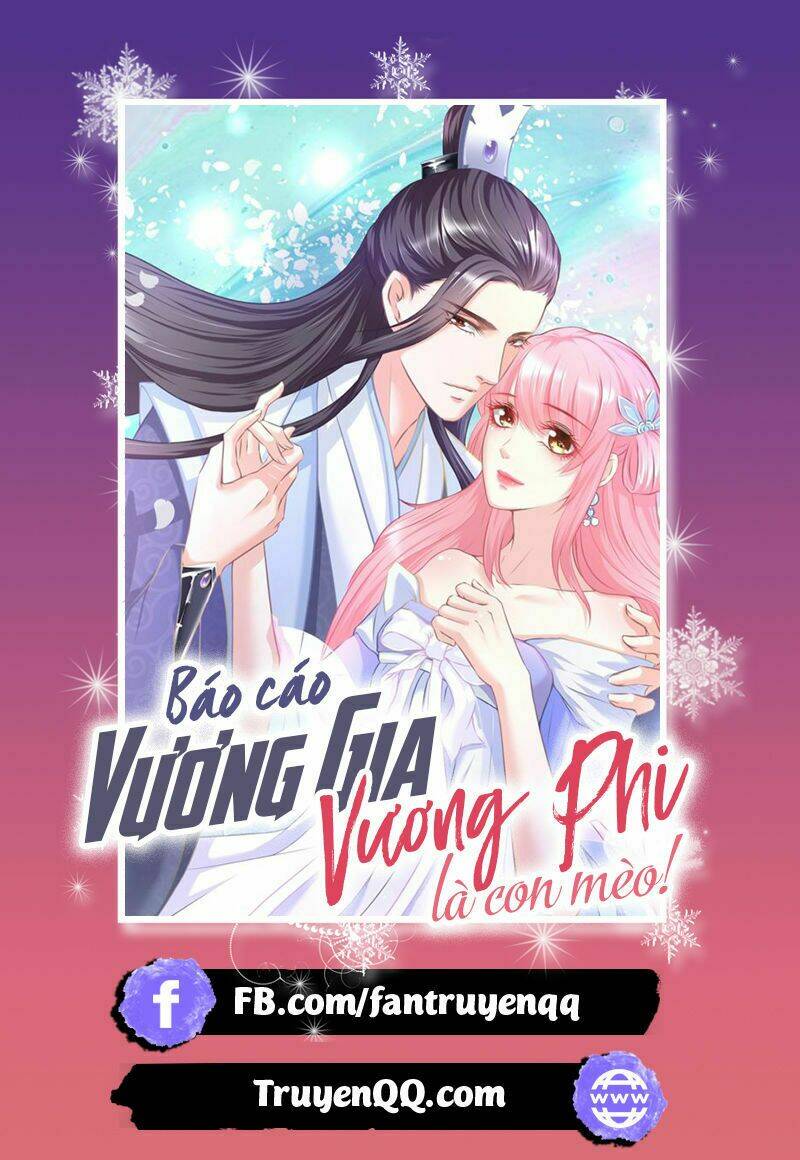 Báo Cáo Vương Gia, Vương Phi Là Một Con Mèo Chương 5 Ảnh 99
