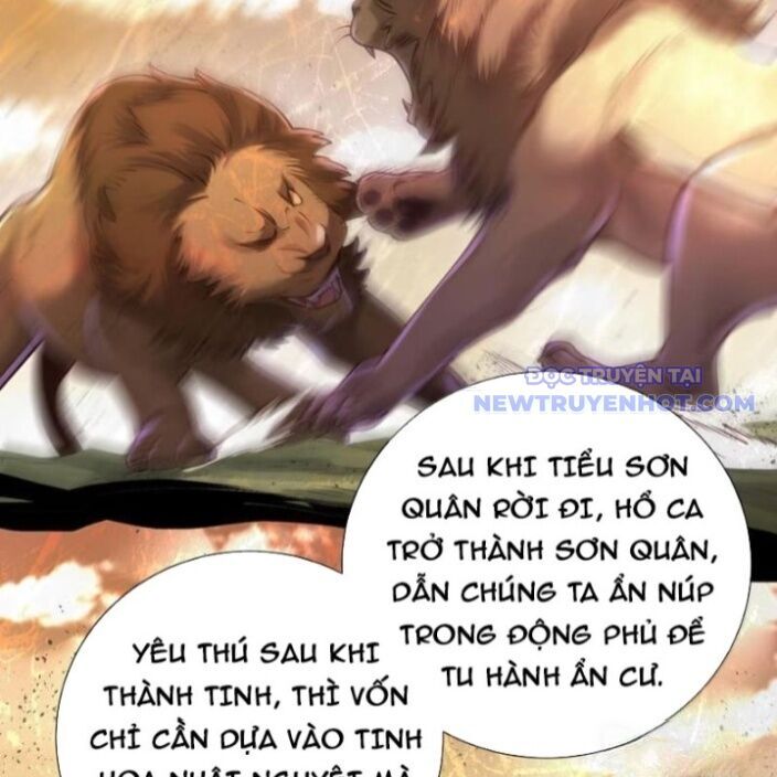 Bói Toán Mà Thôi, Cửu Vĩ Yêu Đế Sao Lại Thành Nương Tử Ta?! Chương 72 Ảnh 40