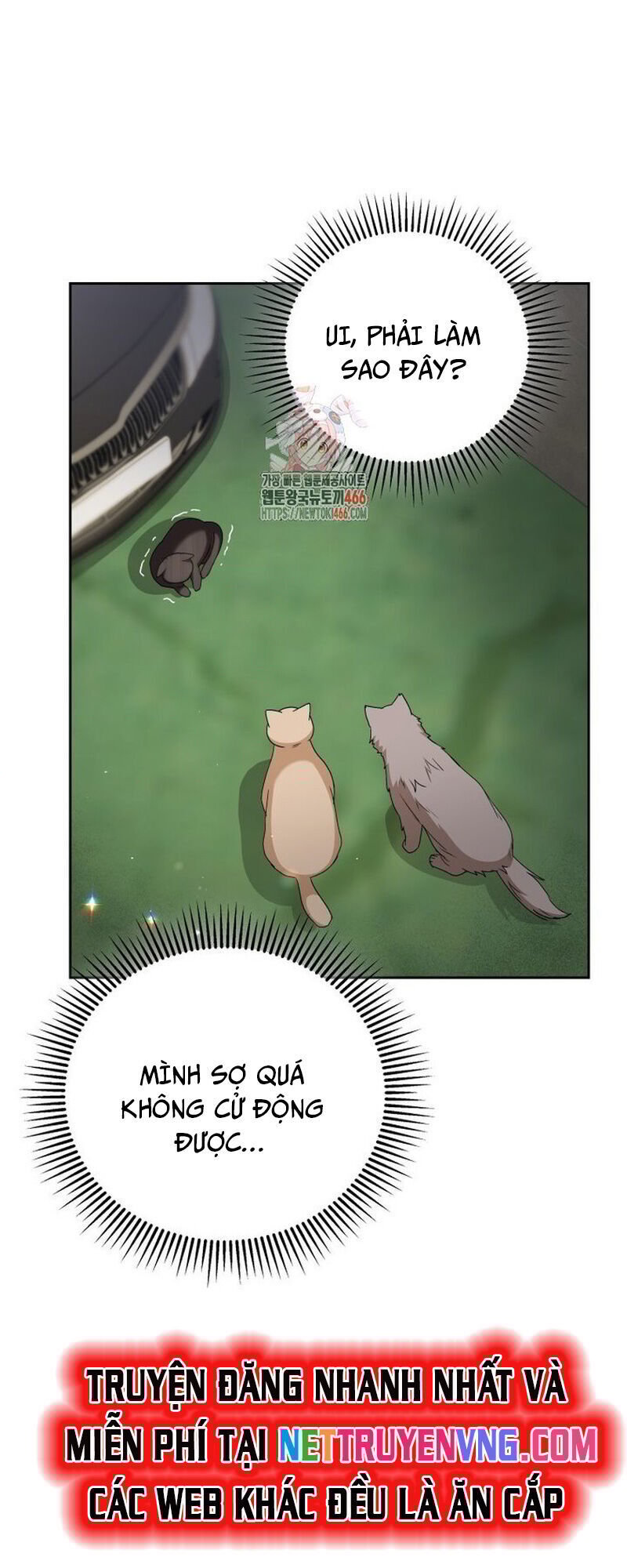 Xin Chào! Bác Sĩ Thú Y Chương 77 Ảnh 3