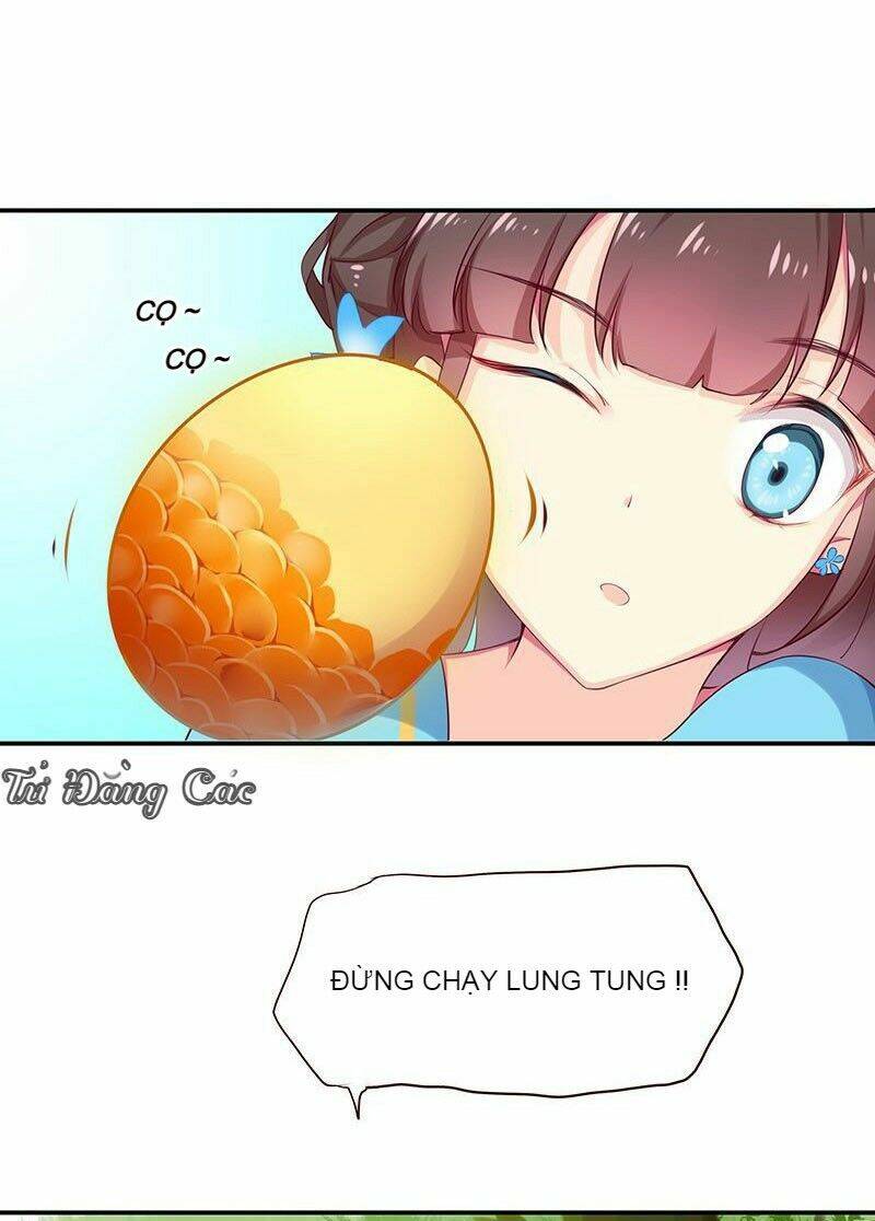 Che Bầu Trời Chương 1 Ảnh 26