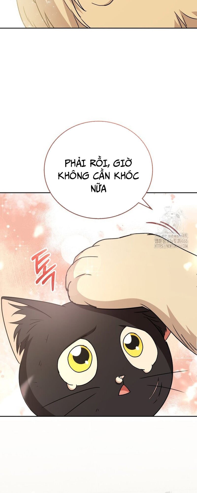 Xin Chào! Bác Sĩ Thú Y Chương 77 Ảnh 65