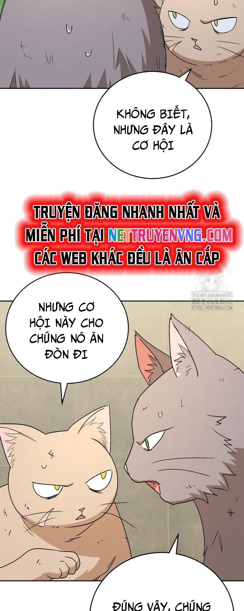 Xin Chào! Bác Sĩ Thú Y Chương 77 Ảnh 43