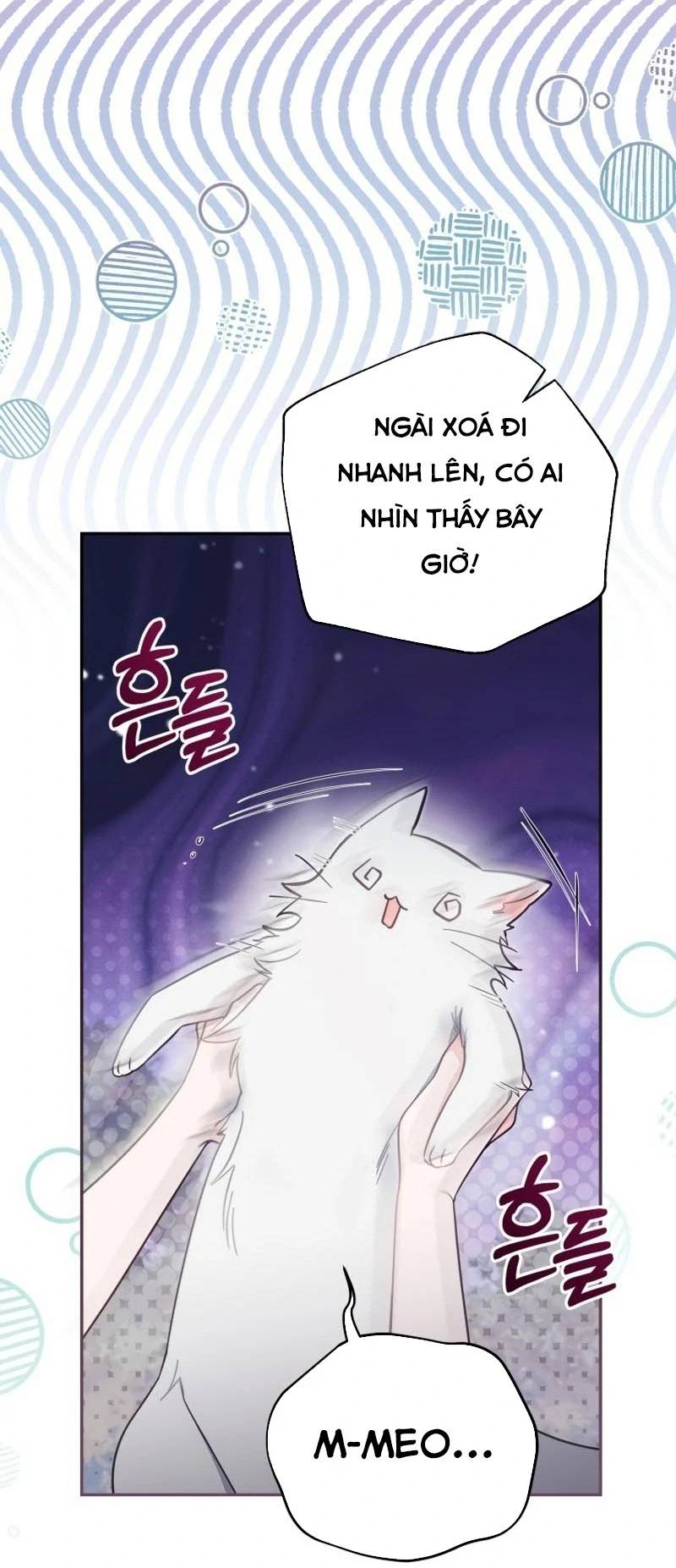 Không Có Nơi Nào Dành Cho Công Chúa Giả Mạo Chương 69 Ảnh 72