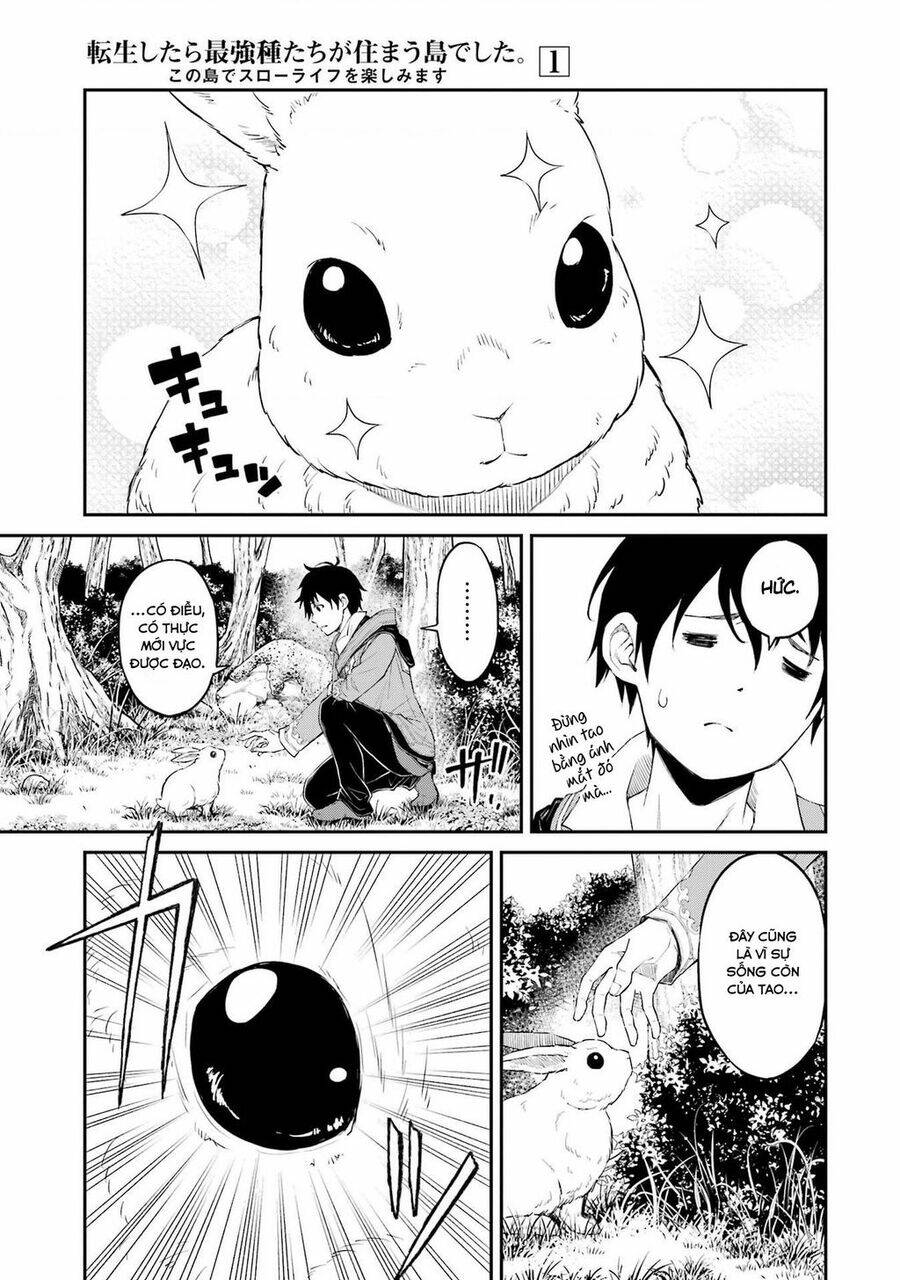 Tensei Shitara Saikyoushutachi Ga Sumau Shima Deshita. Kono Shima De Slow Life Wo Tanoshimasu Chương 1 Ảnh 19