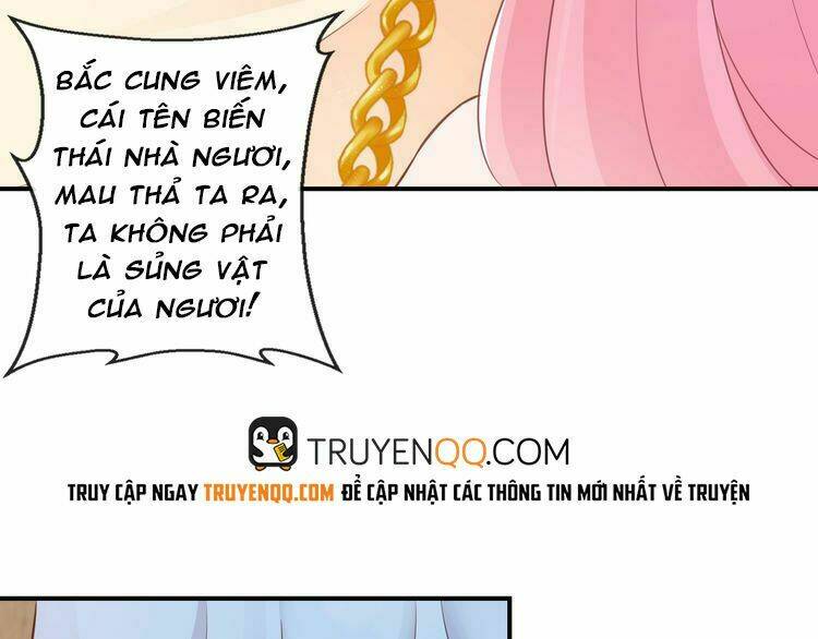 Báo Cáo Vương Gia, Vương Phi Là Một Con Mèo Chương 6 Ảnh 68