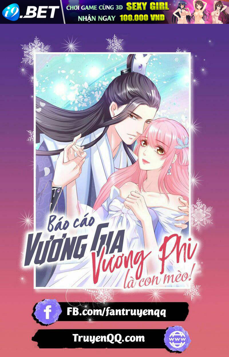 Báo Cáo Vương Gia, Vương Phi Là Một Con Mèo Chương 5 Ảnh 2