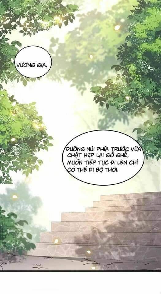 Con Đường Hoang Dã Của Vương Phi Chương 28 Ảnh 26