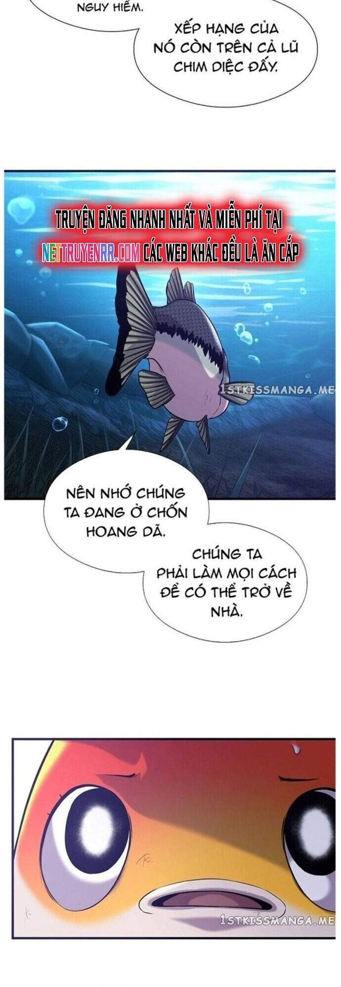 Hoá Thân Thành Cá Chương 48 Ảnh 31