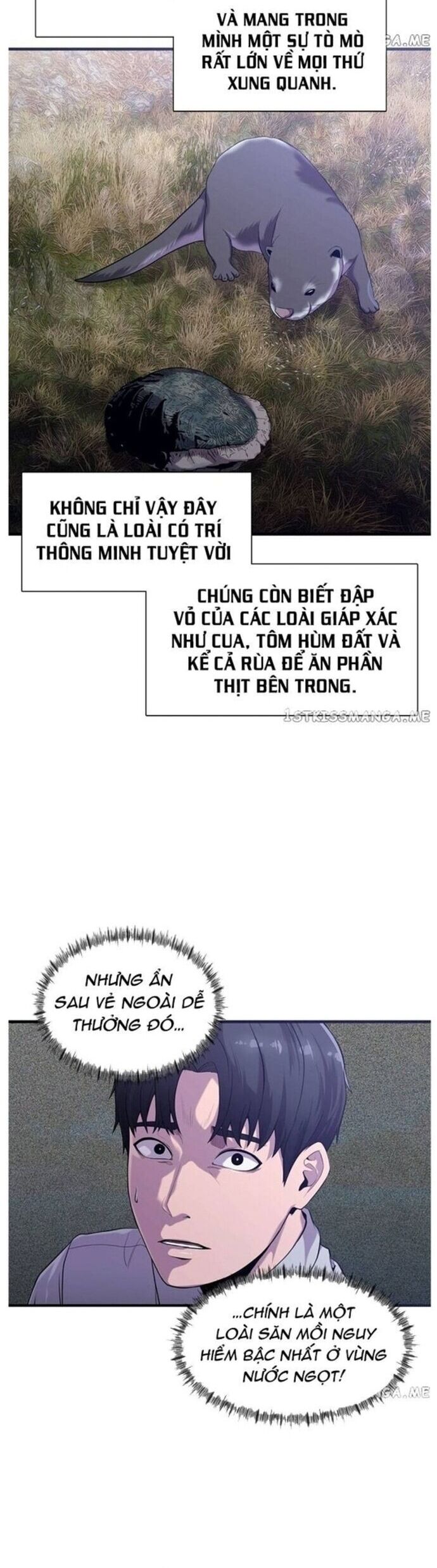 Hoá Thân Thành Cá Chương 48 Ảnh 21
