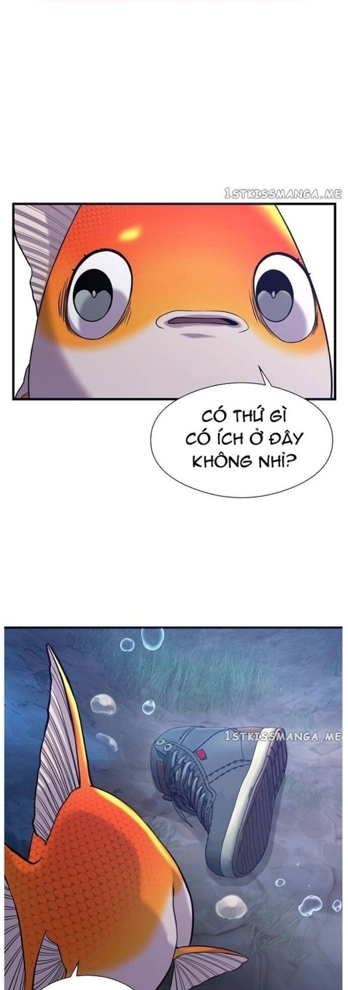 Hoá Thân Thành Cá Chương 48 Ảnh 40