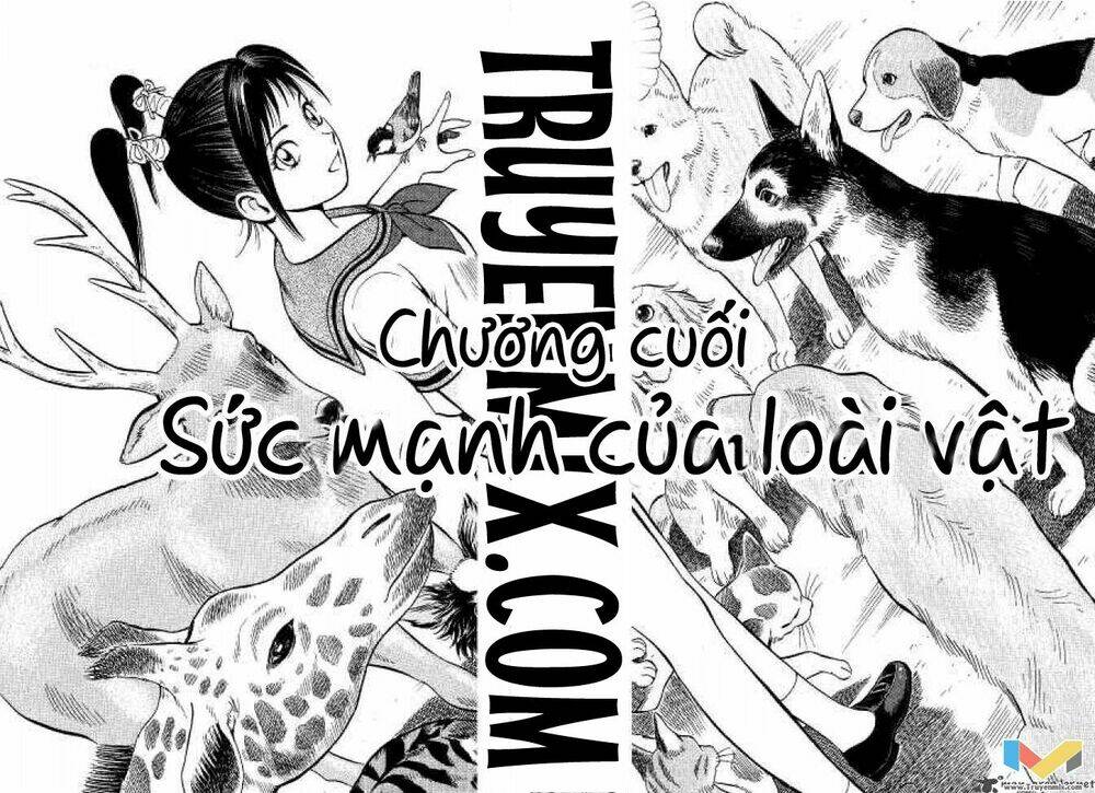 Animal Sense Chương 13 Ảnh 4