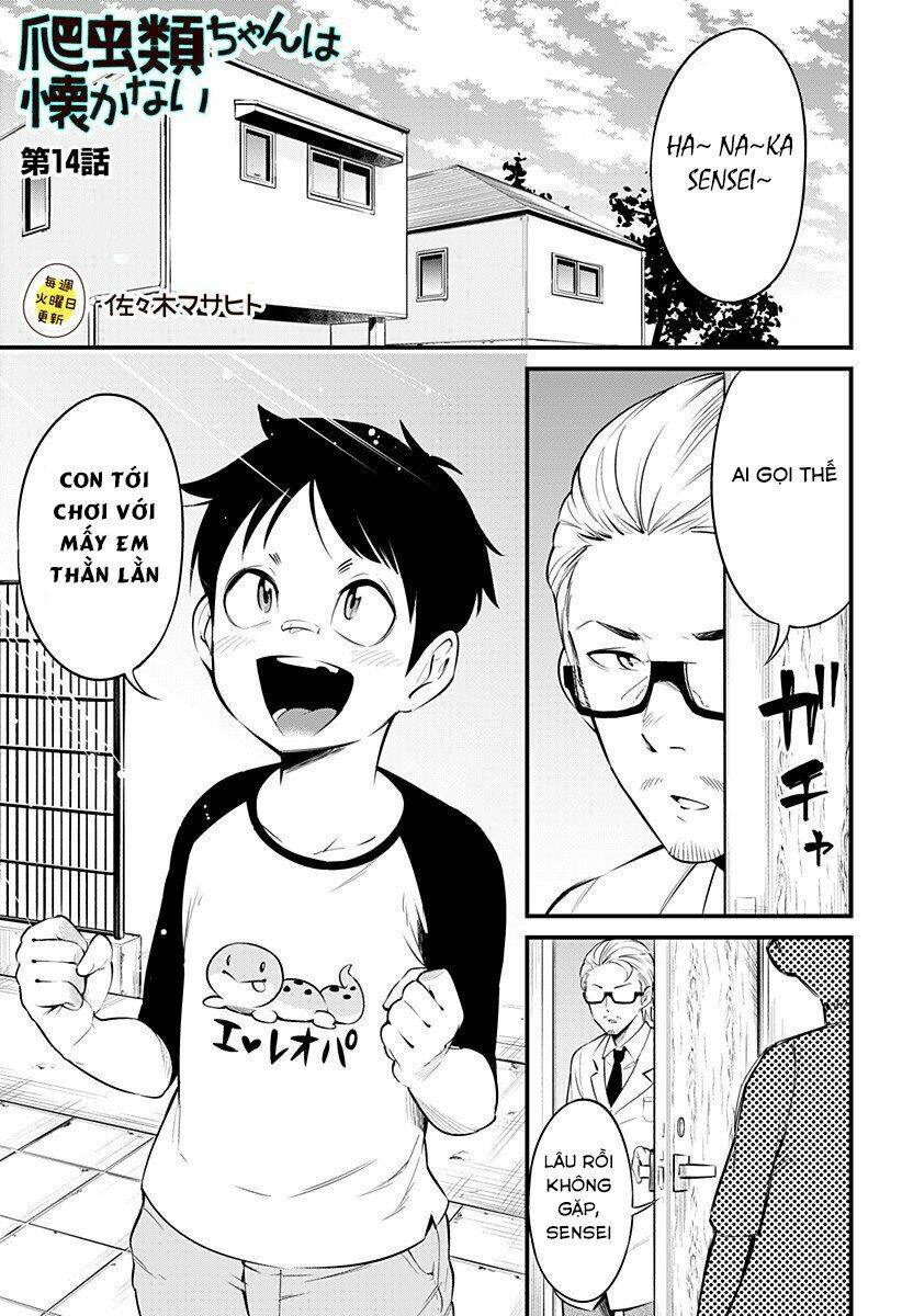 Hachuurui-Chan Wa Natsukanai Chương 14 Ảnh 2