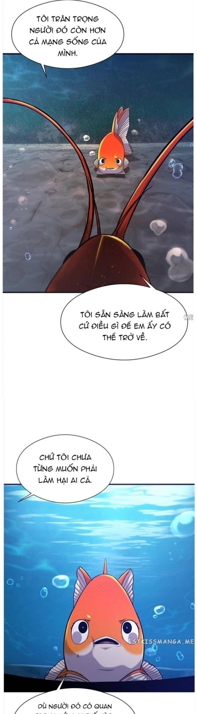 Hoá Thân Thành Cá Chương 50 Ảnh 24
