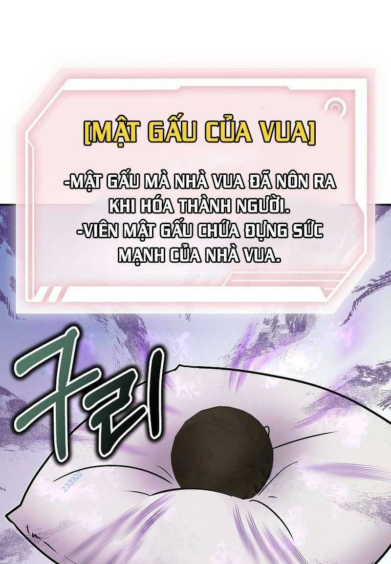 Ta Leo Lên Đỉnh Cao Ngay Cả Những Hồi Quy Giả Cũng Không Thể Đạt Tới Chương 23 Ảnh 39