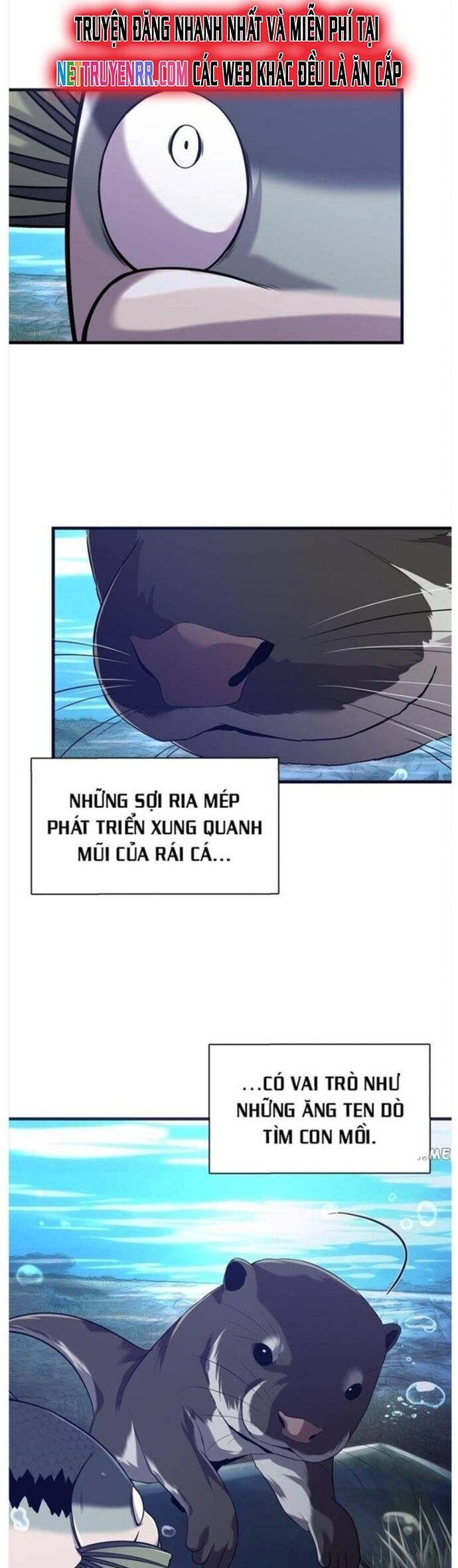 Hoá Thân Thành Cá Chương 50 Ảnh 4