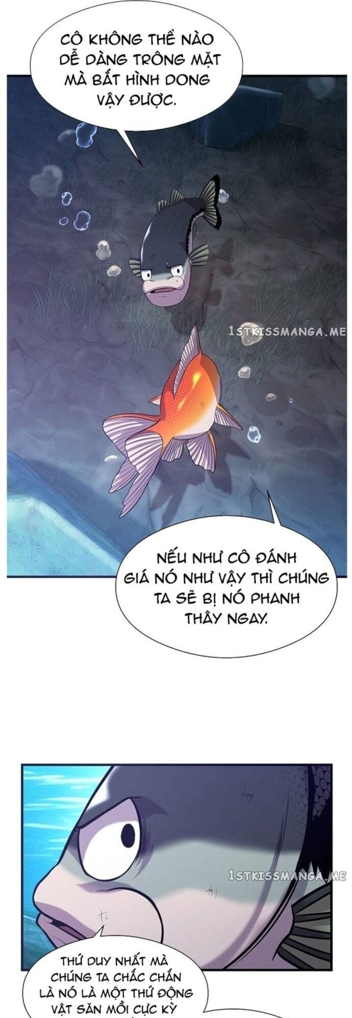 Hoá Thân Thành Cá Chương 48 Ảnh 30